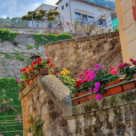 Vasto Apt Panoramico 3 Min Mare Apartman Camogli Kültér fotó